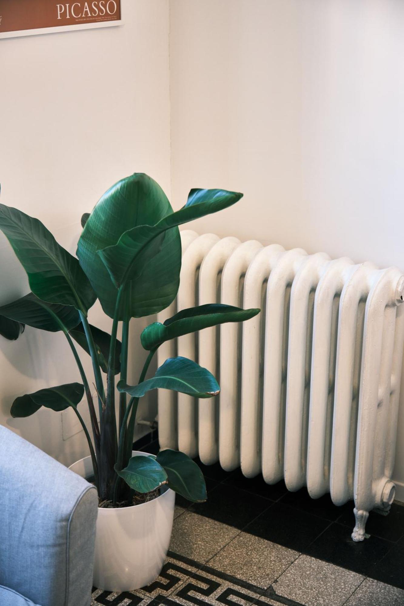 Carolina Trastevere House Appartamento *