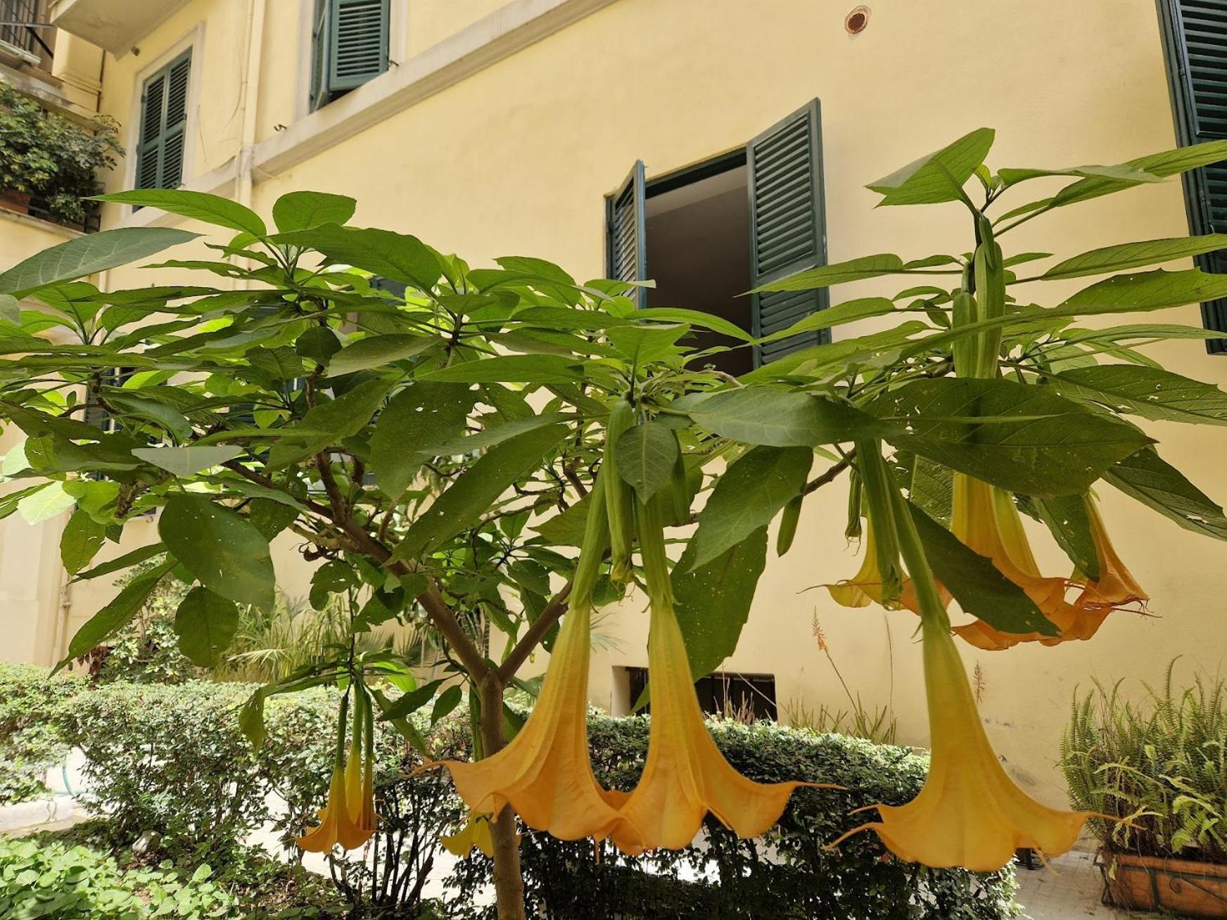 Borsieri Apartment Rome