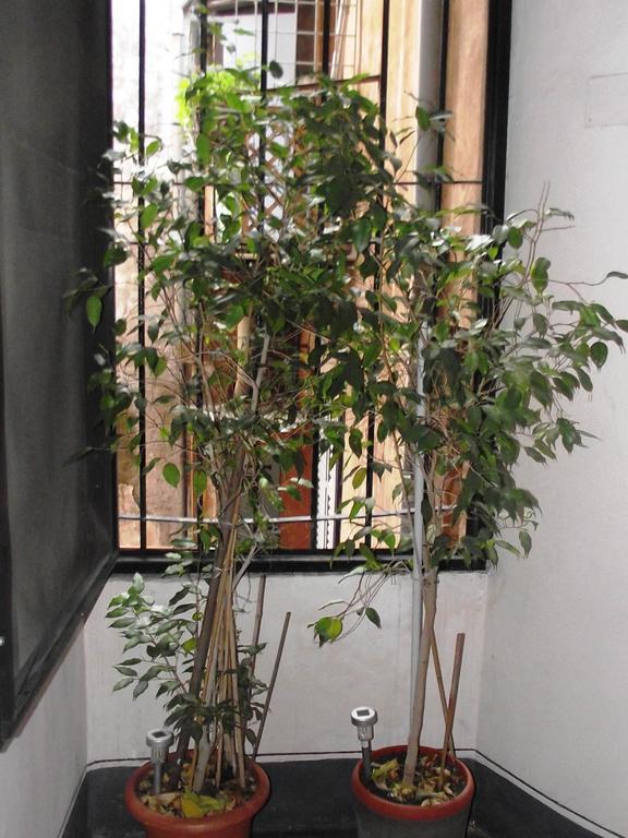 Guest house Argentina 2*