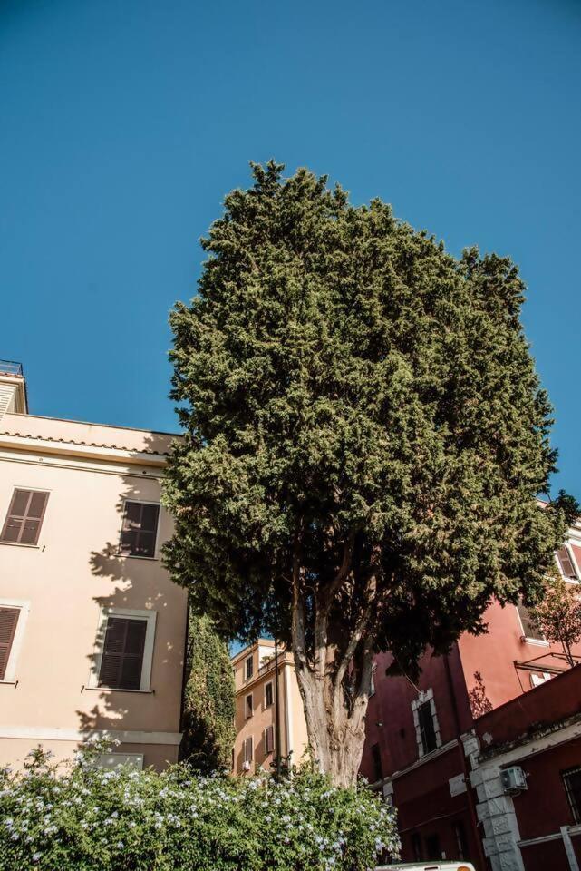 Vatican Del Gallo Apartment Rome