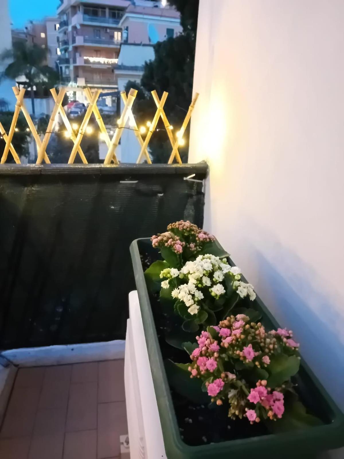 Appiolatino Il Geco Apartamento *