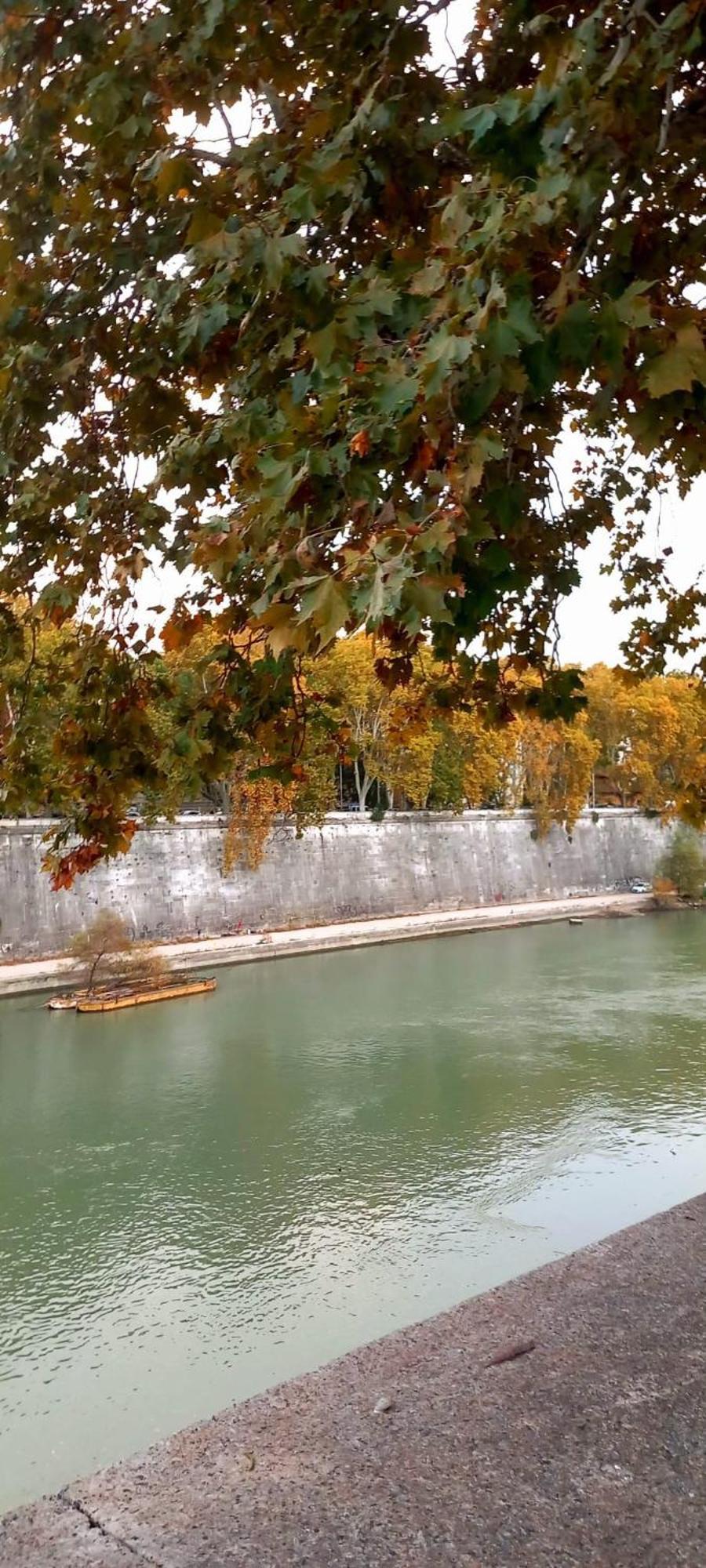 Riversidemellini44 Guest house