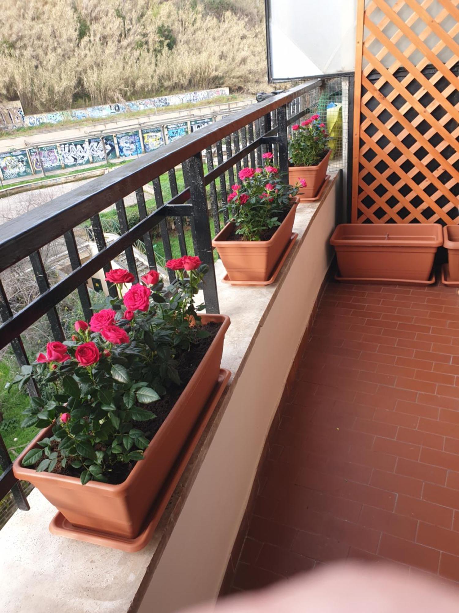 Antonella Vatican Apartment