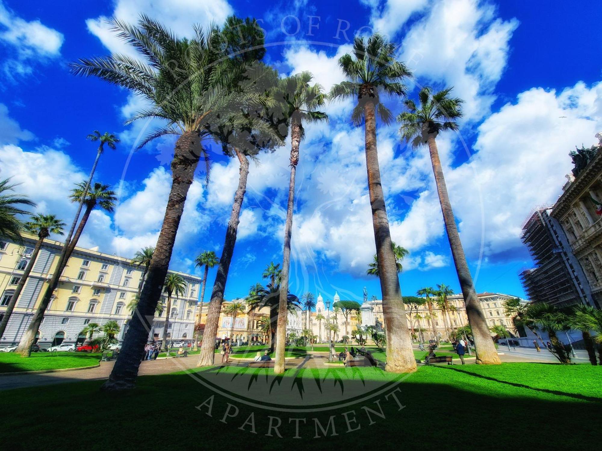 Roots Of Apartment