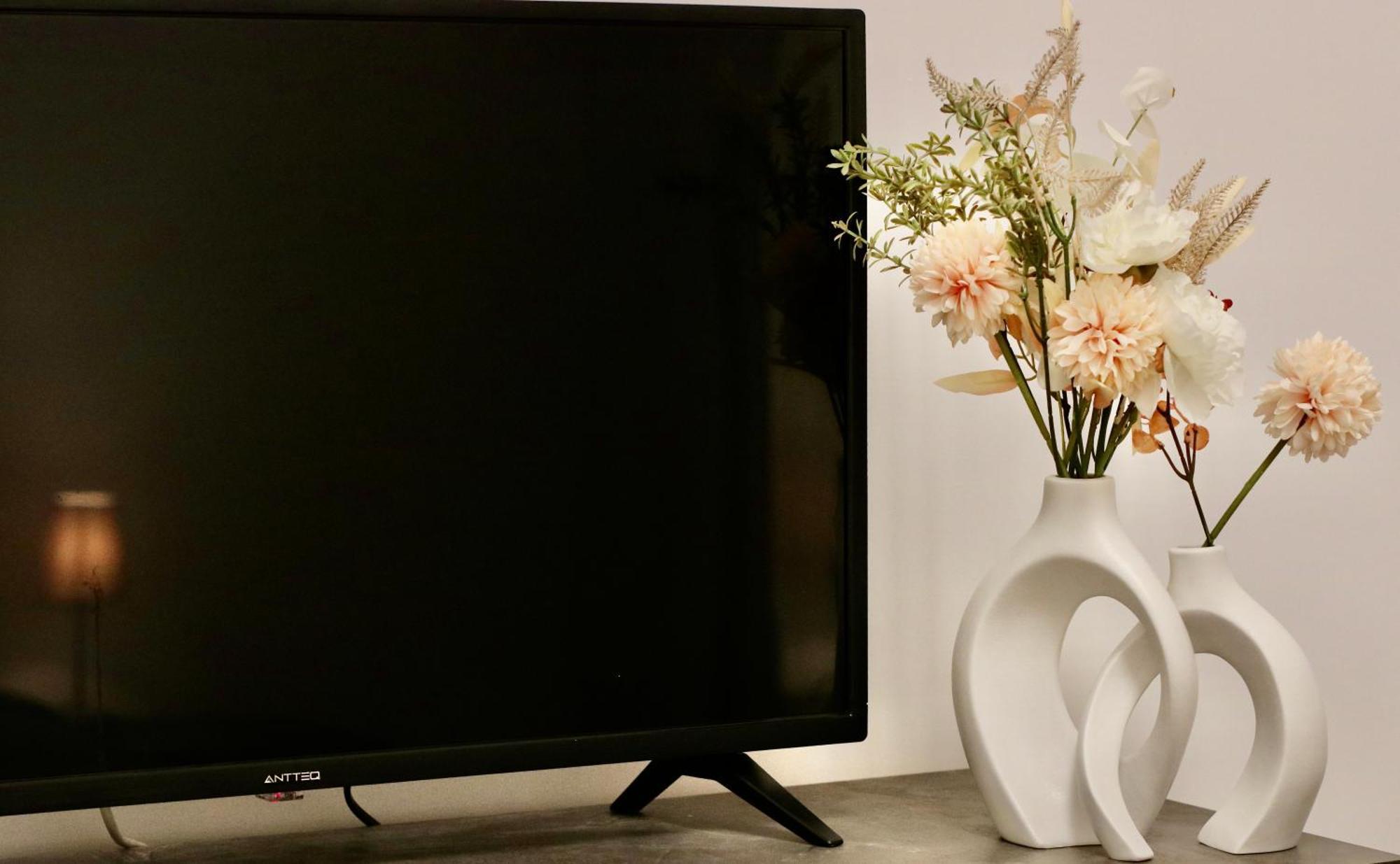 Homely In Apartment *