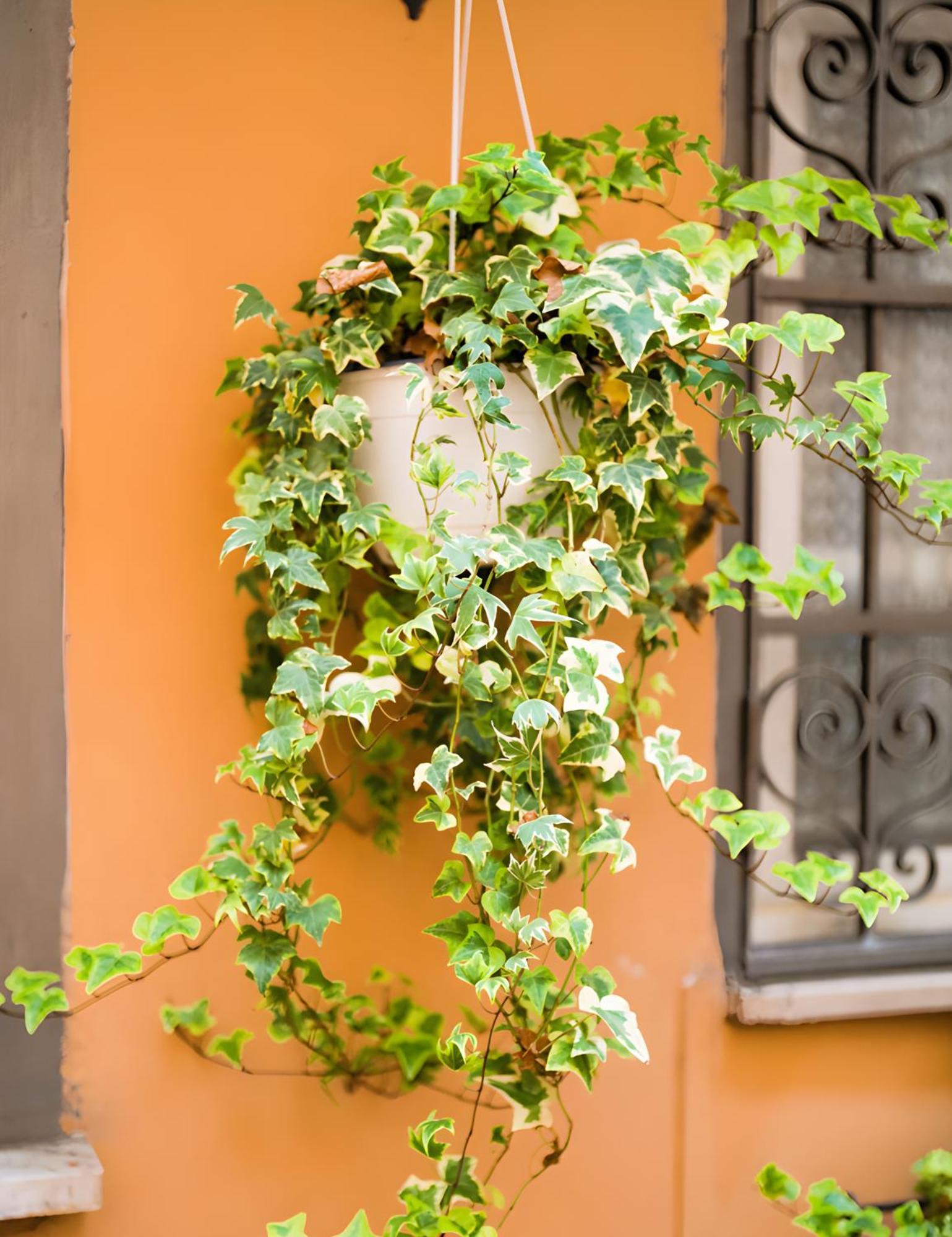 The Best Nest * Rome