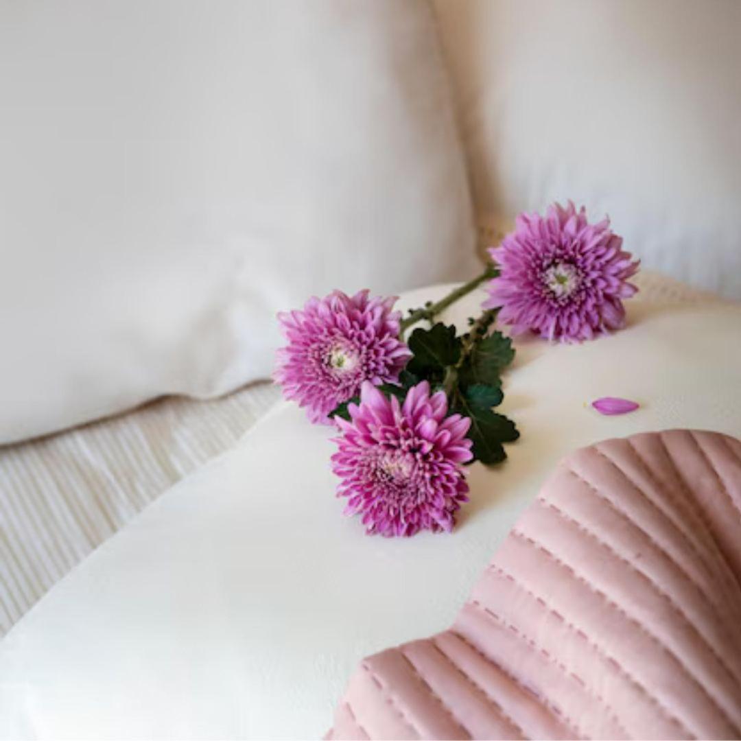 Guest house Loveit - - Piazza Della Maddalena