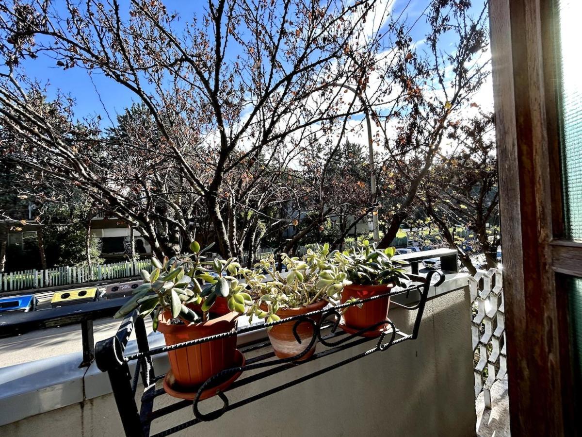 Da Elisa E Davide House Apartment Rome