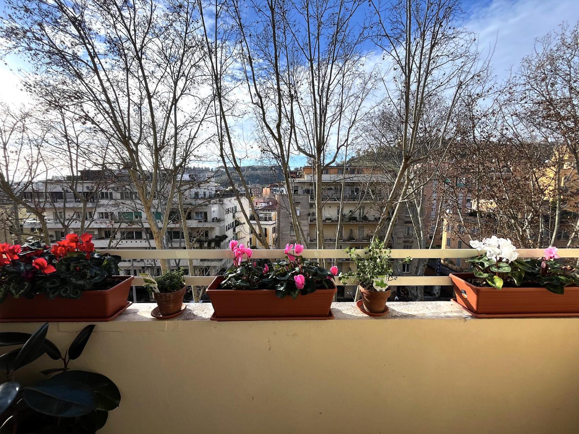 Apartment Angelico *