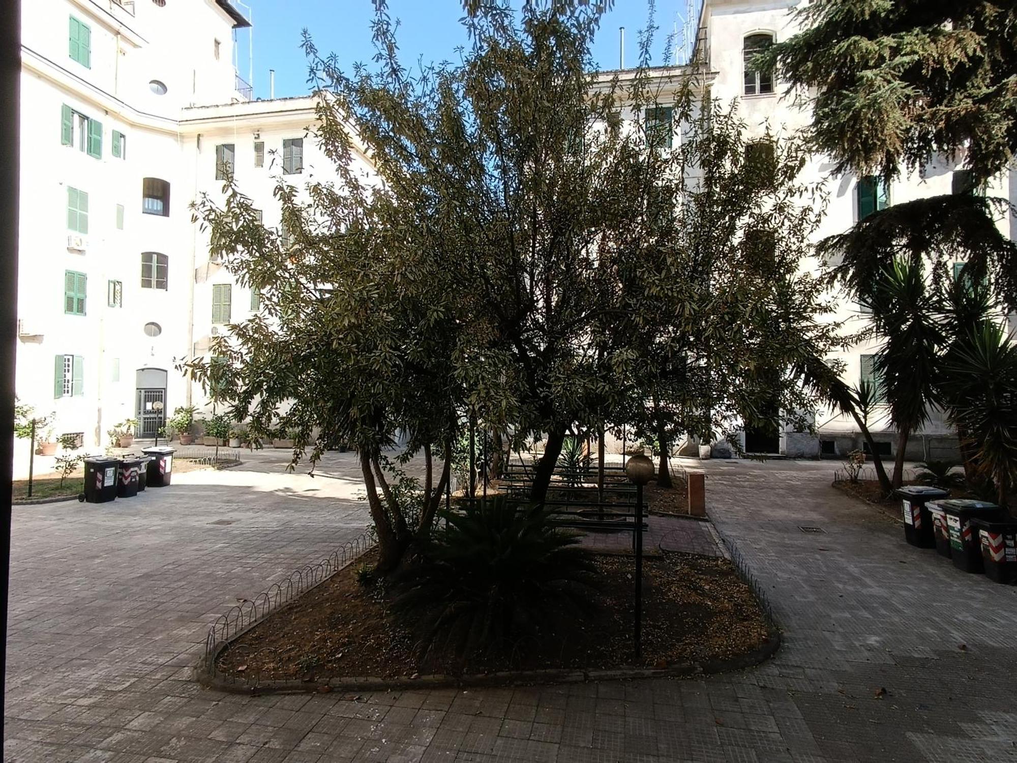 Apartment Testaccio Charme Rome
