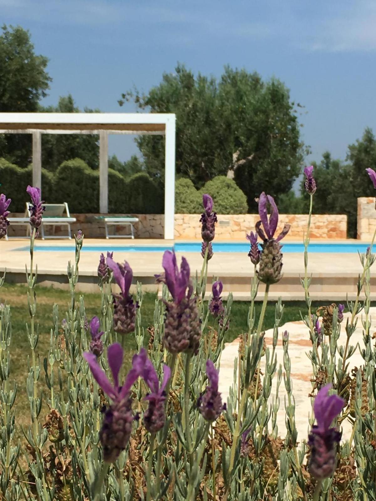 Trullo Amato With Exclusive Pool * Rome