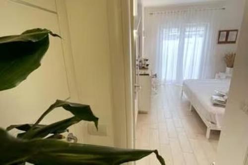 Elegante A - Molteni * Roma