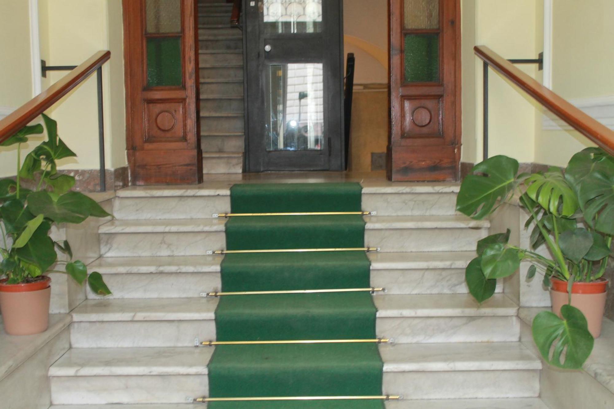 Daffodil In San Pietro Bed & Breakfast Rome