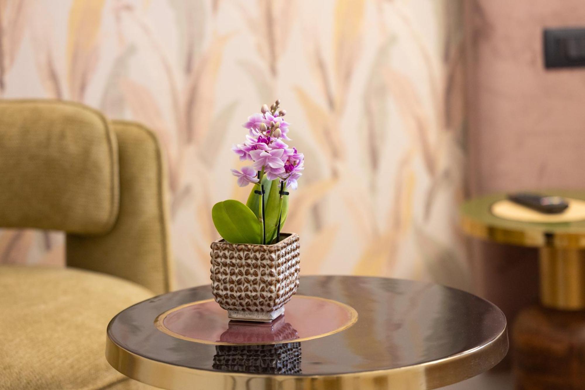 Bed & Breakfast Mavi Luxury Rome
