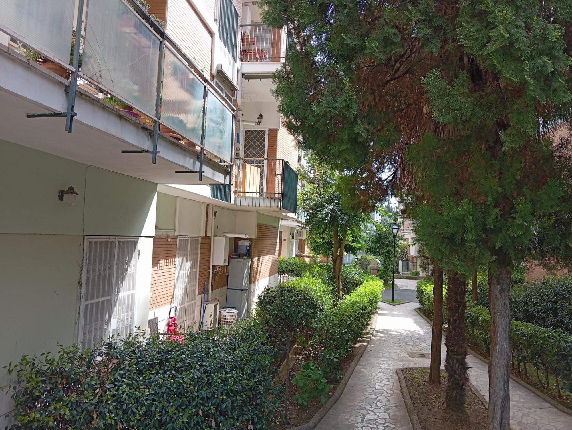 Gemelli - Borgia Rome