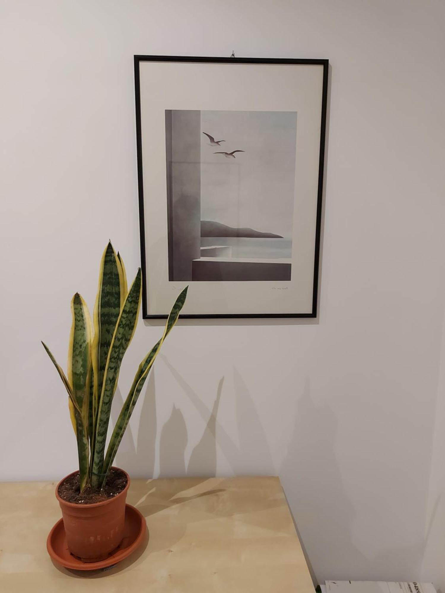 Appartement Da Ale House Rome