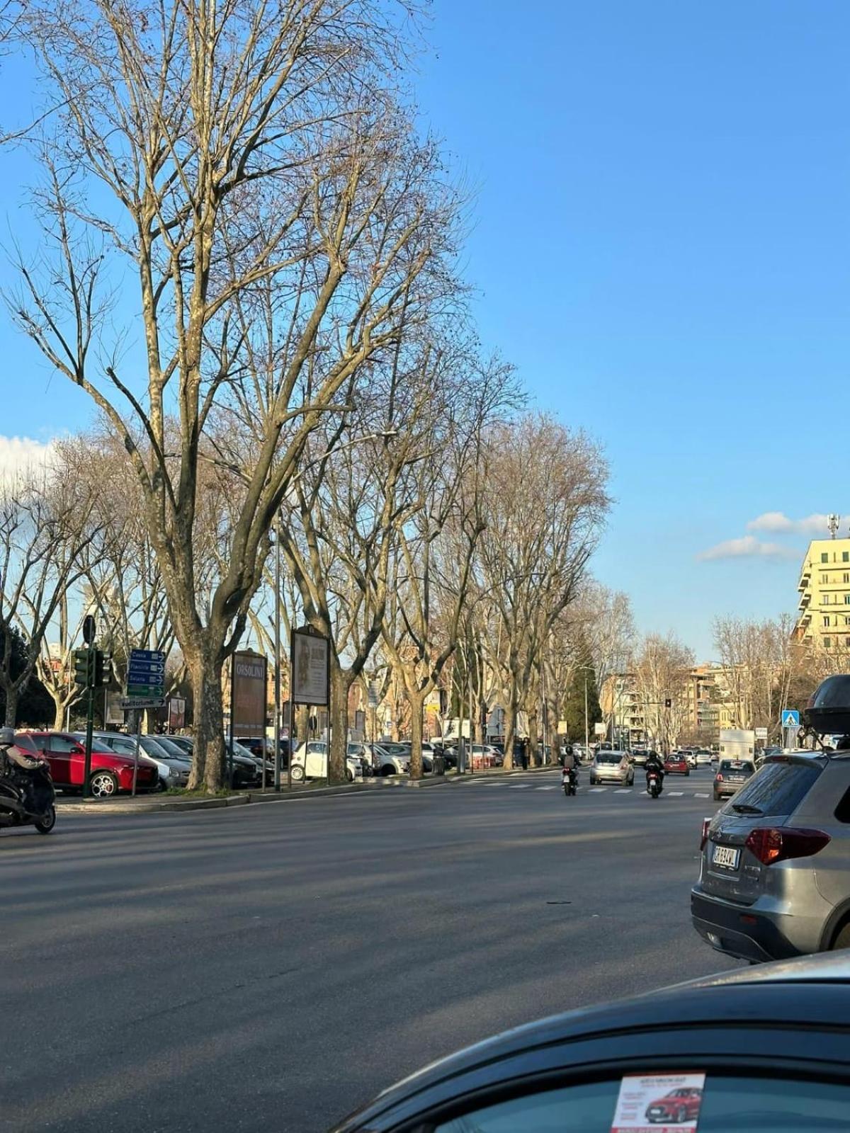 Vatican Clodia