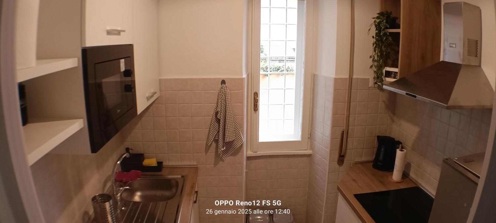 Apartamento Cornelia Near San Pietro