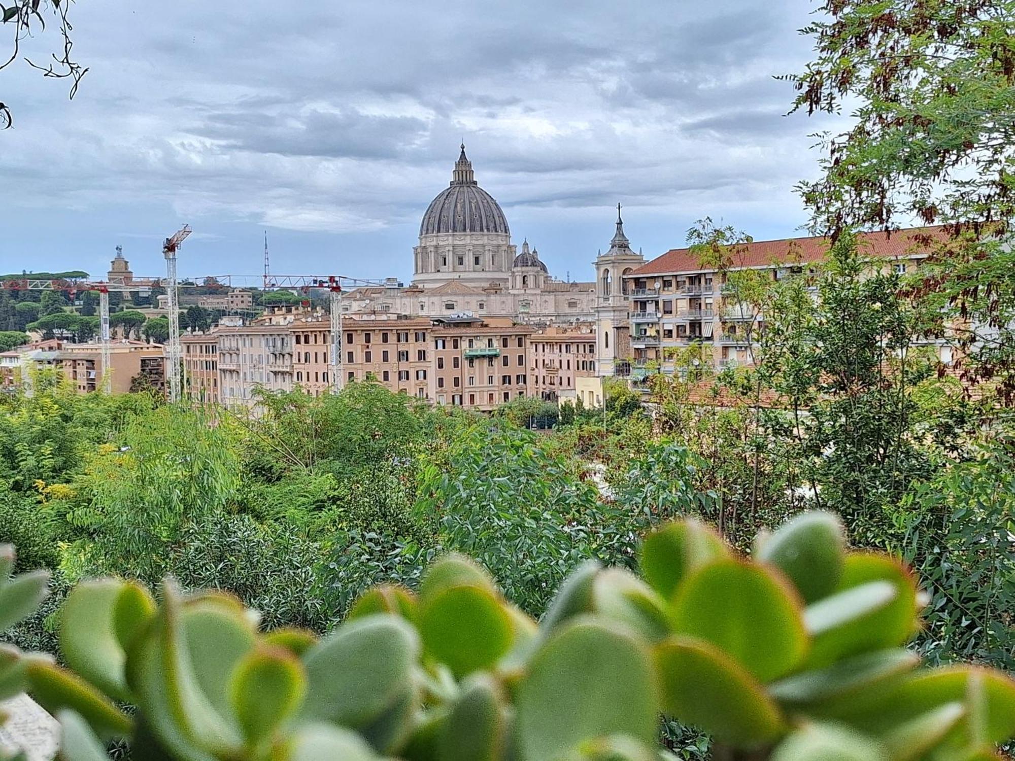 Delmirani's Book - Vatican View *
