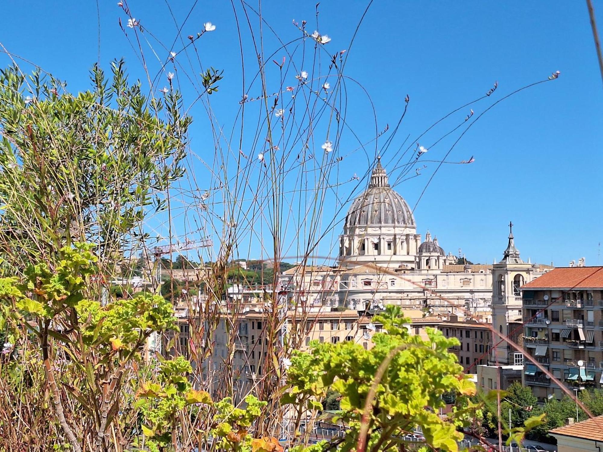 Delmirani's Book - Vatican View Apartamento