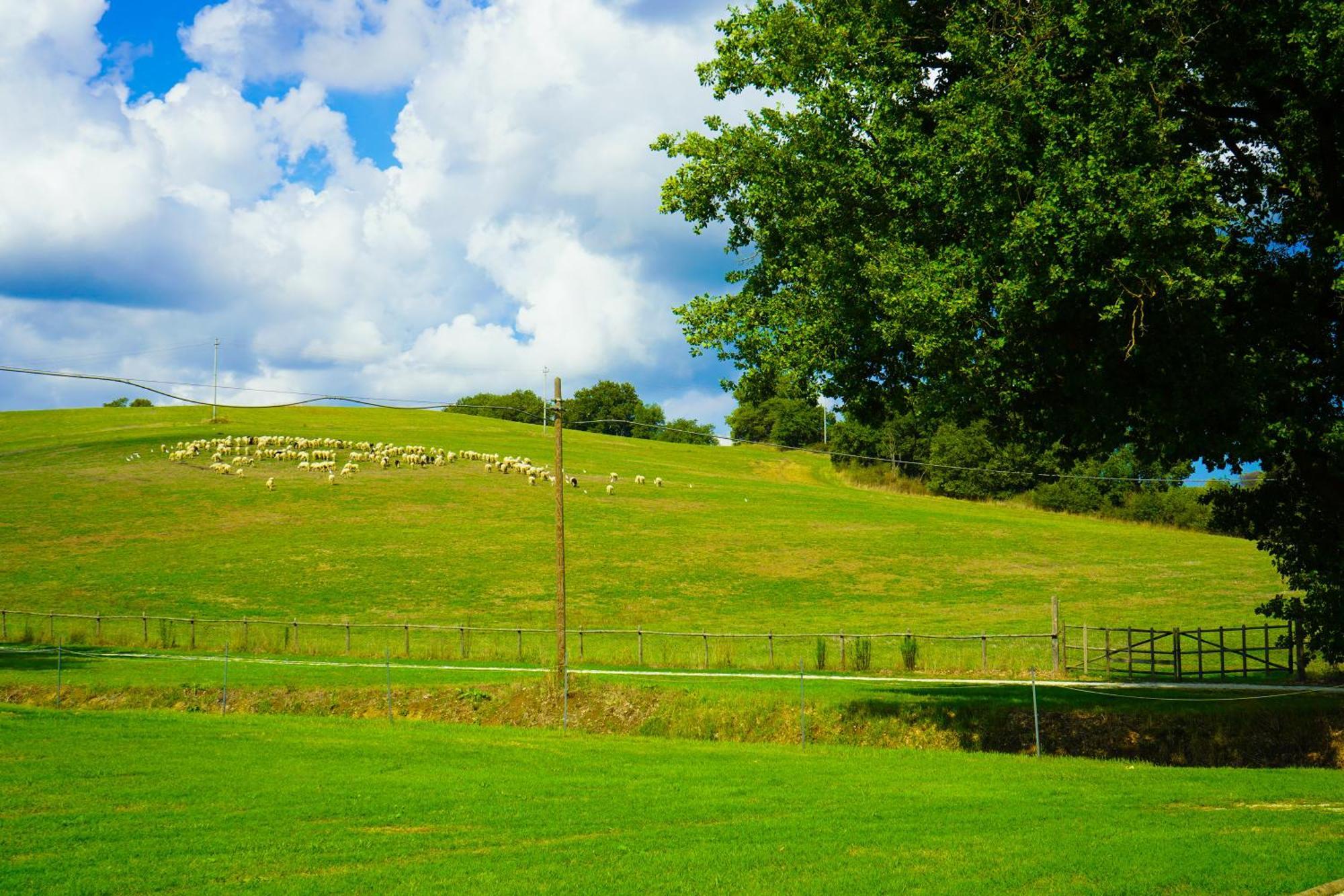 Farm stay Borgo Pallavicini Mori Rome