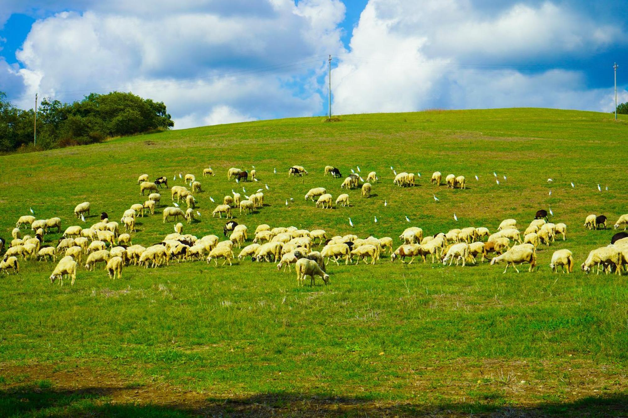 Farm stay Borgo Pallavicini Mori