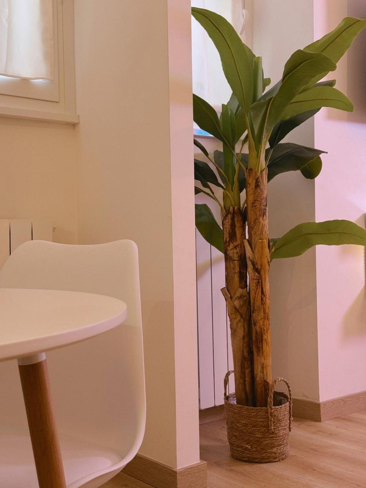 Apartment Vacanze Romane House