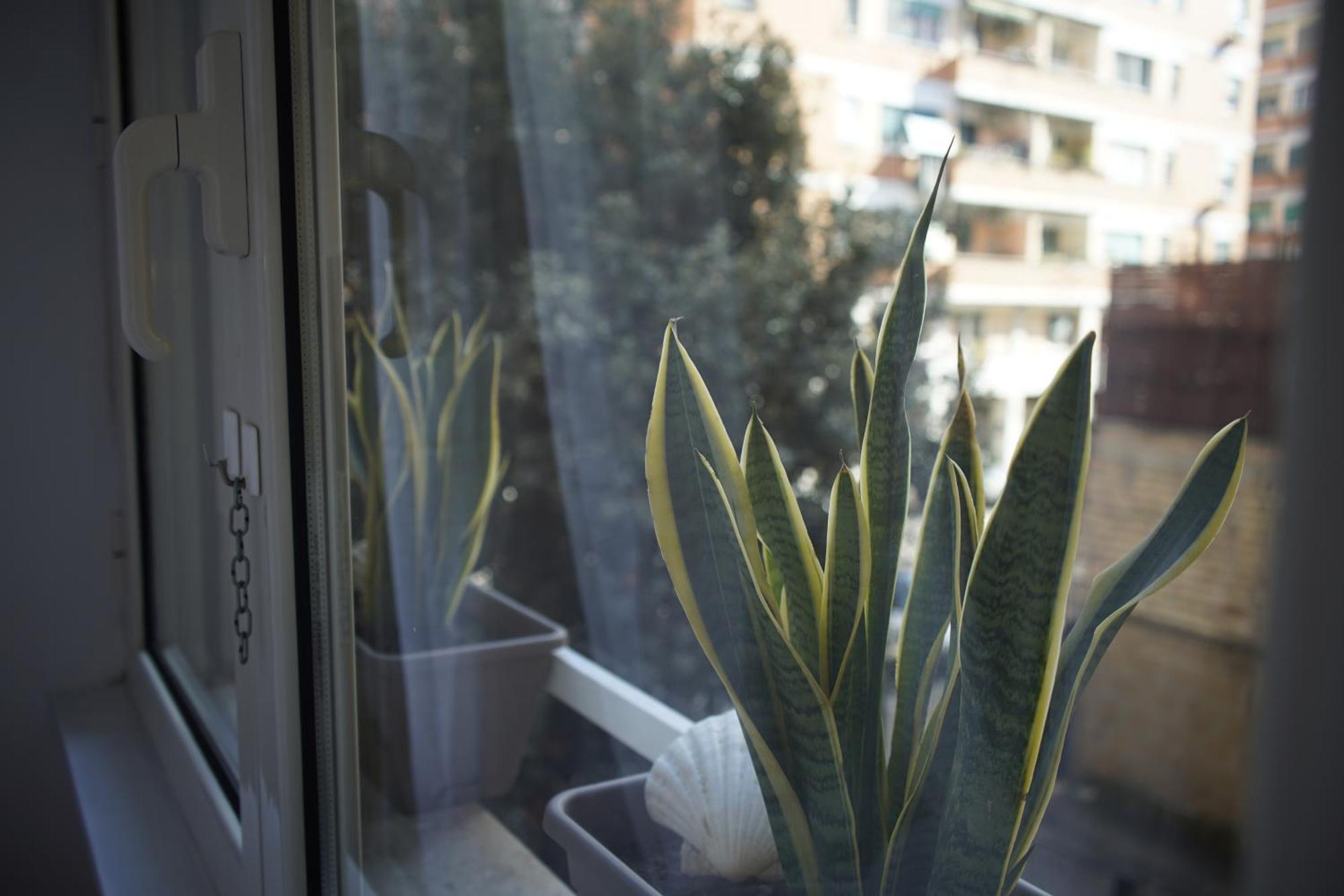 Appartement Hope