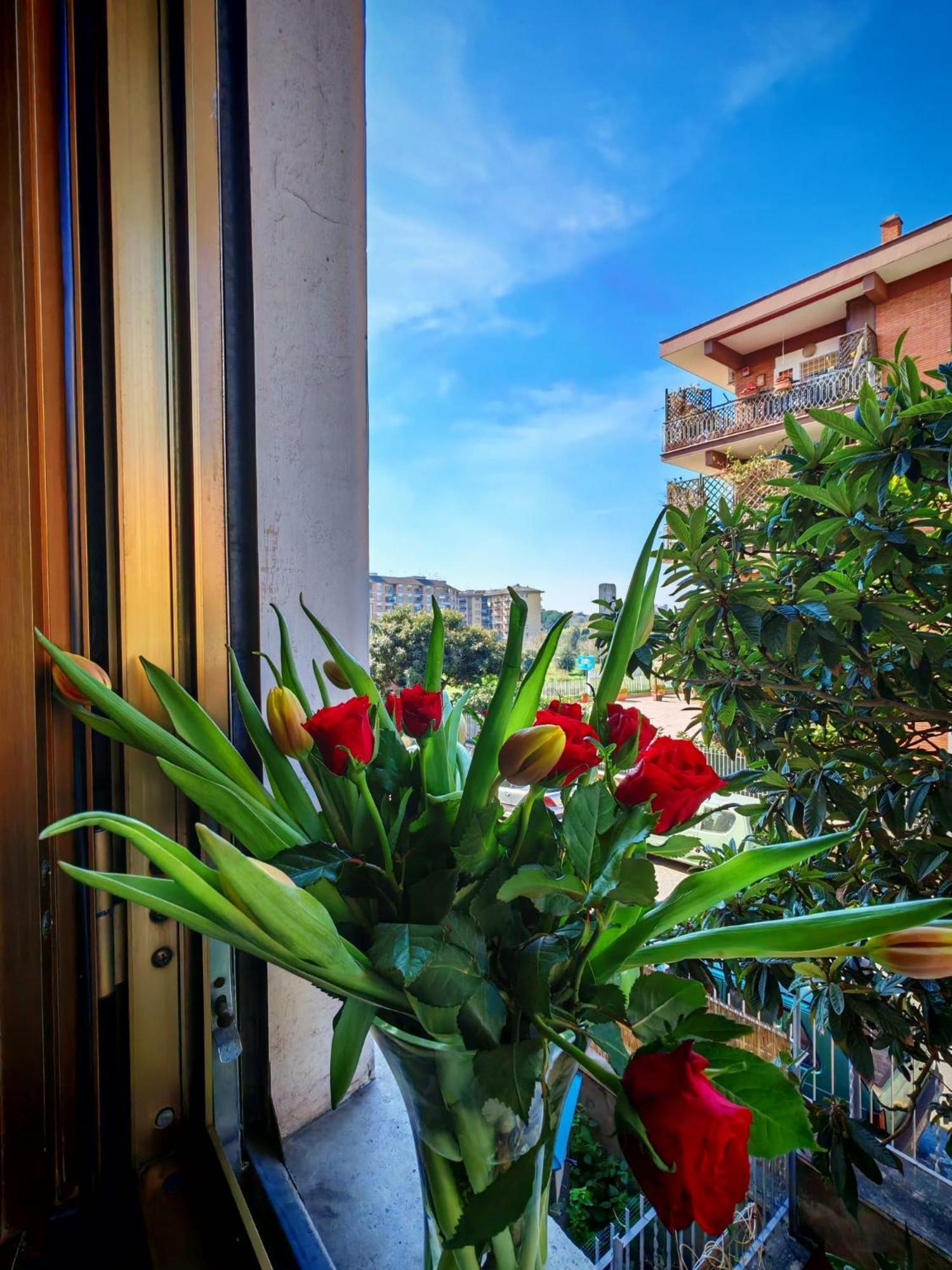 Appartement Casa Con Idromassaggio Metro C Alessandrino - San Giovanni E Trenino Laziali-termini -betti House