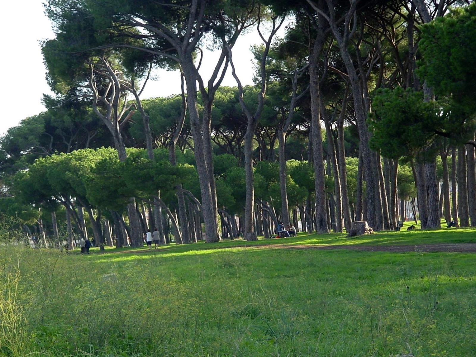 Appartement Nearpineta