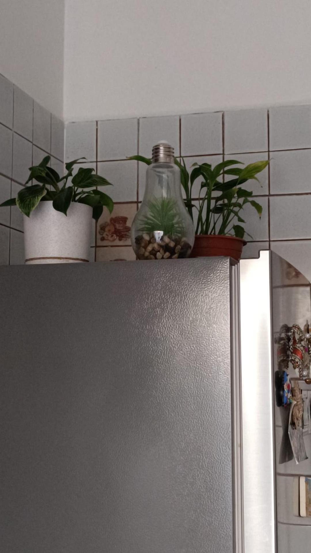 Gemelli Garden House Apartment *