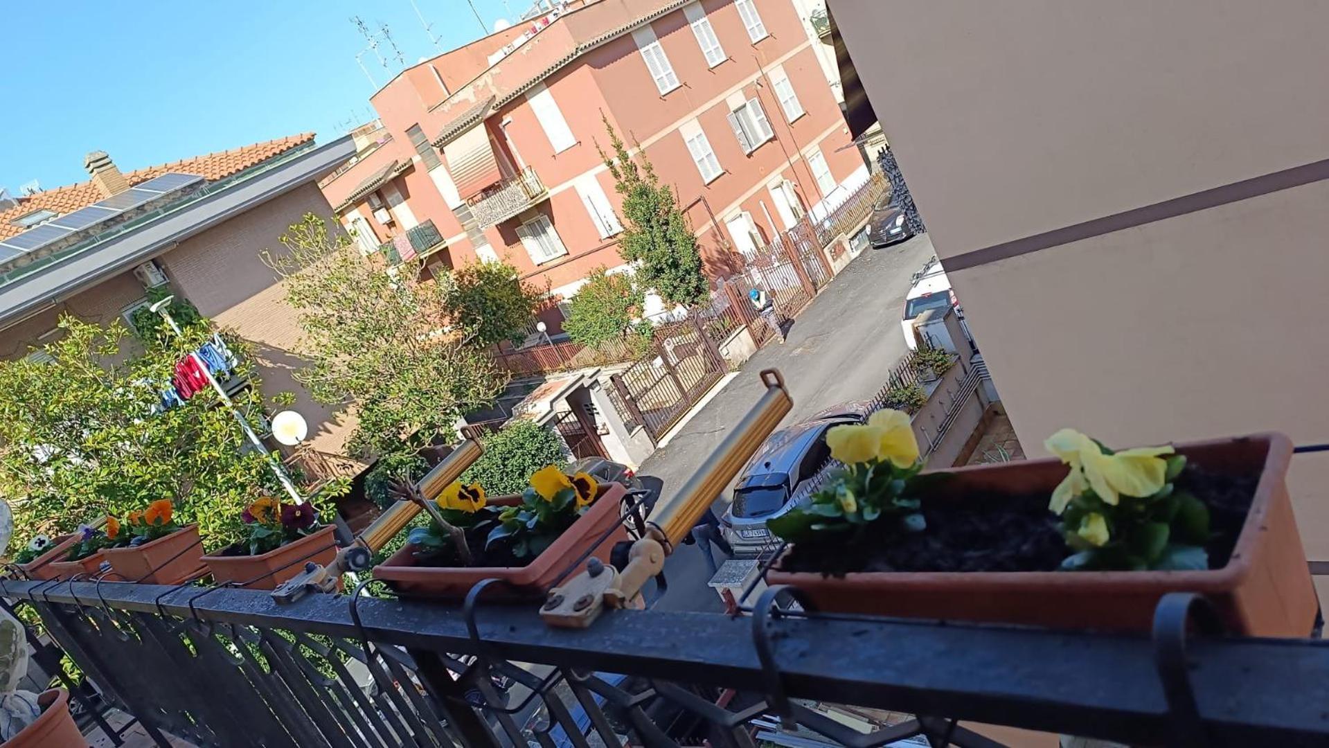 Apartment Gemelli Garden House *