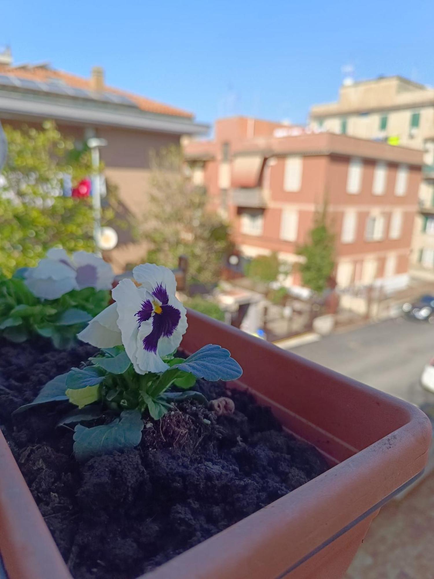 Gemelli Garden House