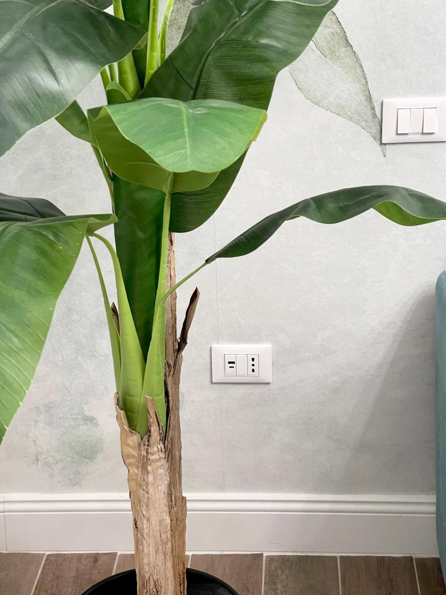 Avocado House - Cozy In The Heart Of Appartement Rome