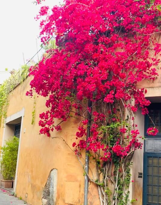 Casa Titti A Trastevere Holiday home