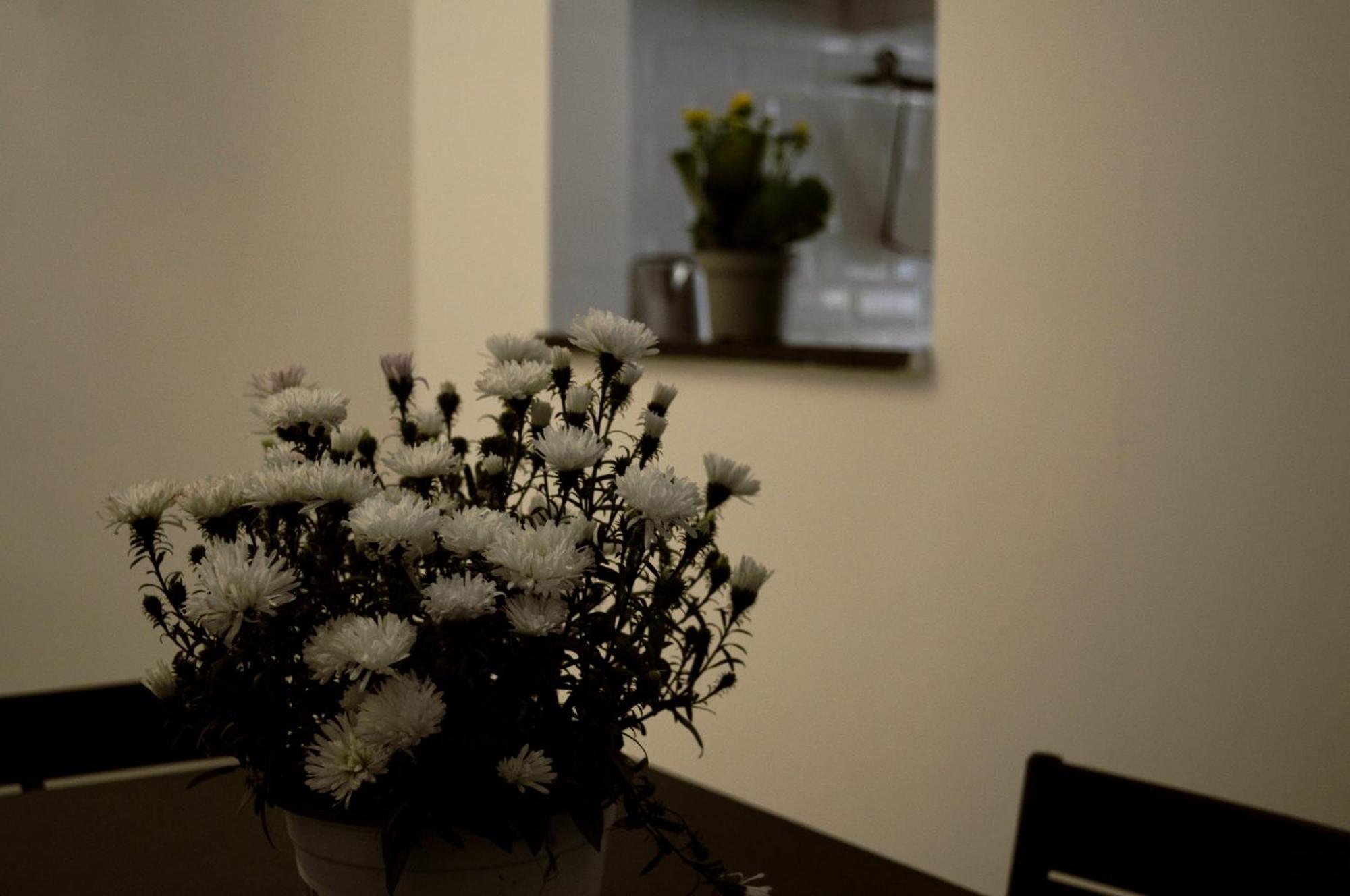 Pietra Papa Apartment Rome