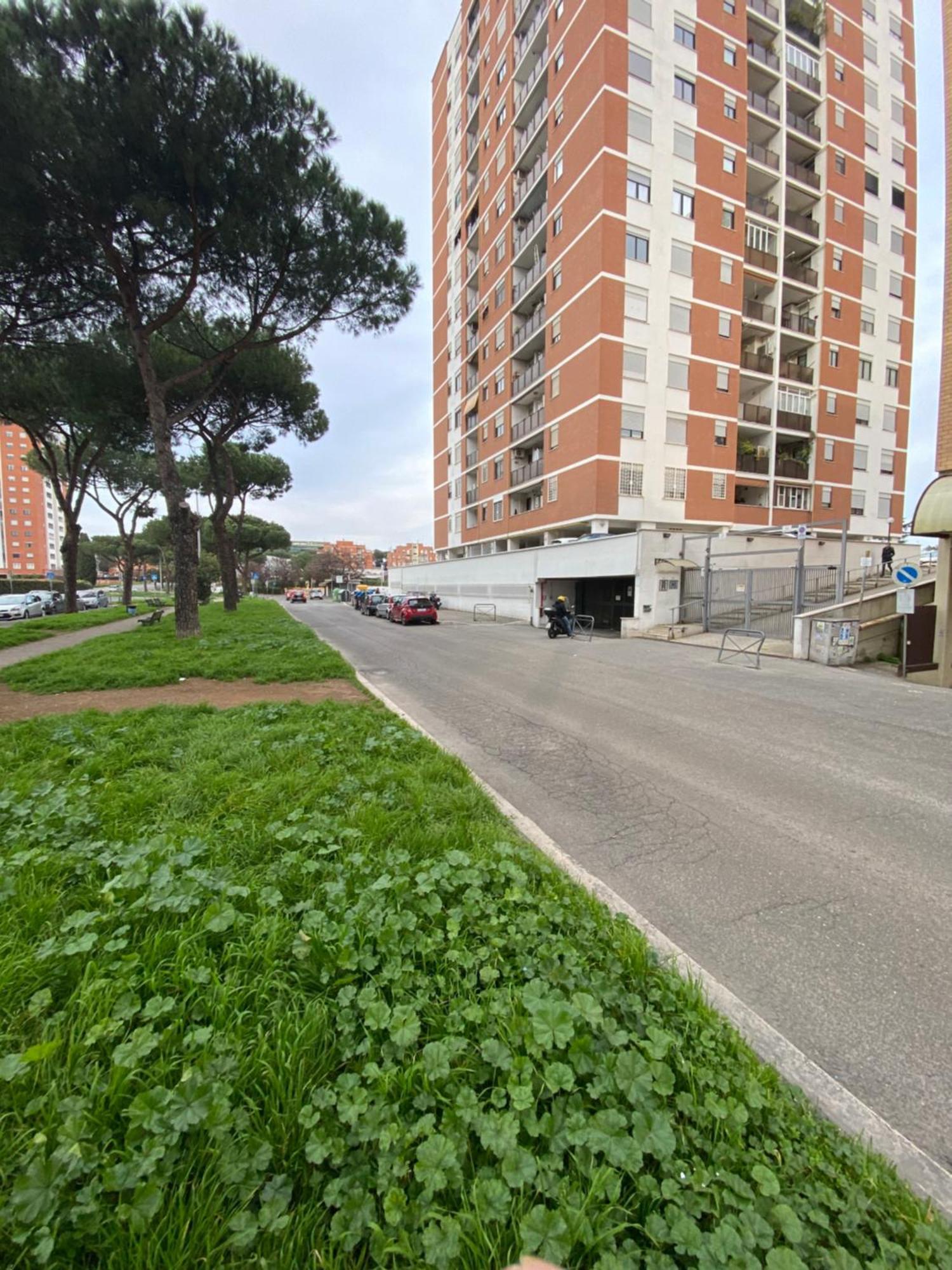 Apartment Spacious In Rome!