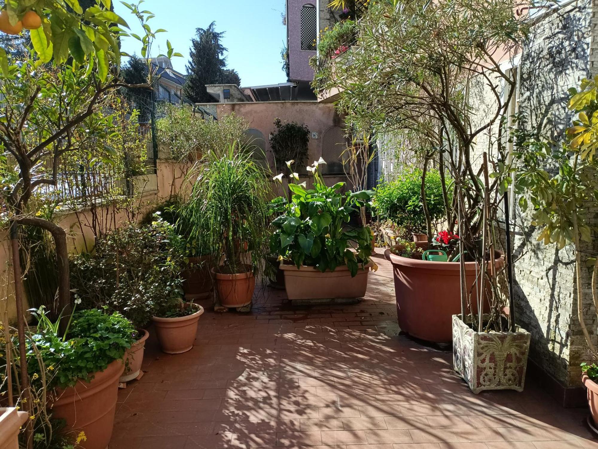 Vatican Treasure Garden Rome