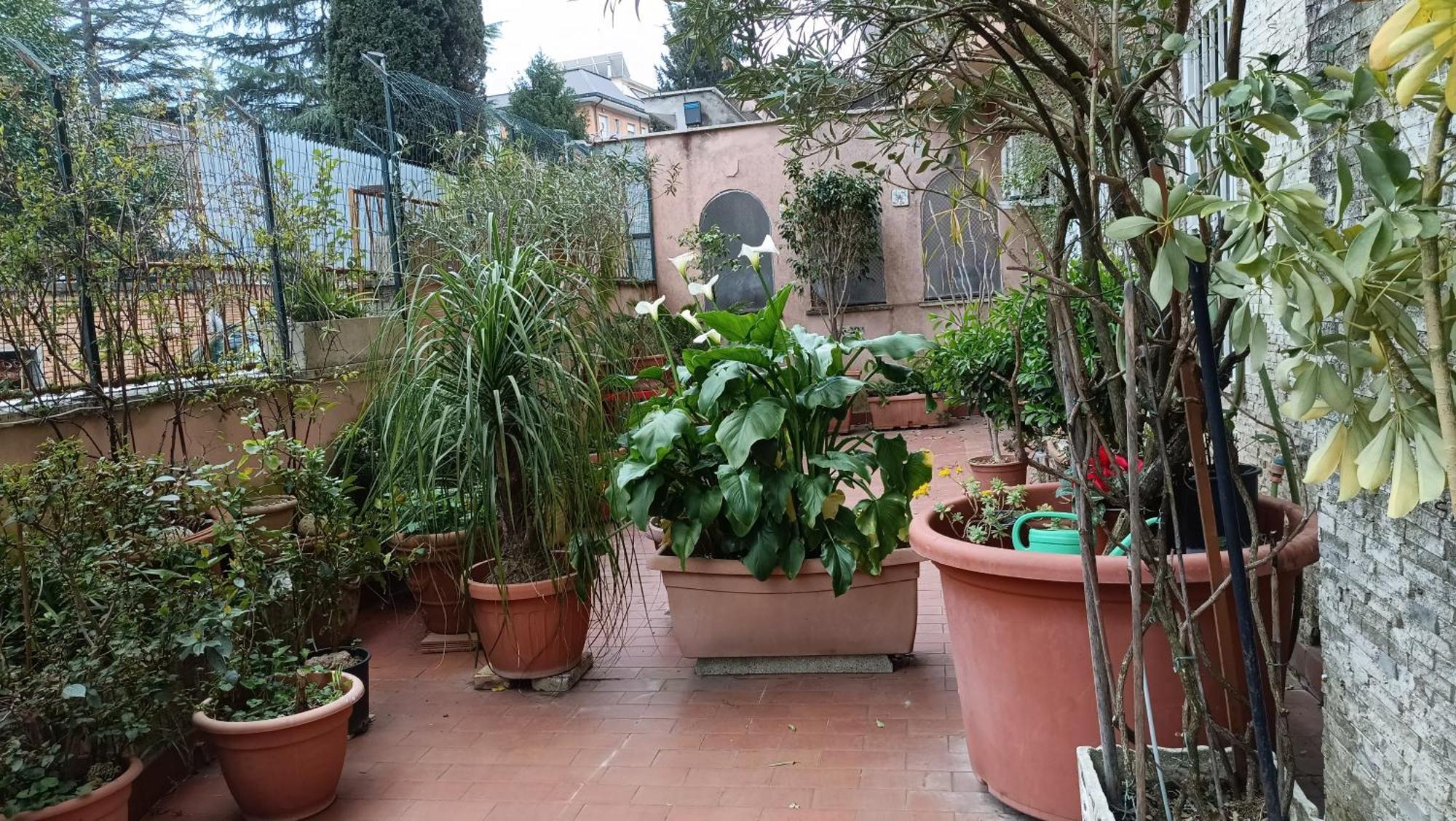 Vatican Treasure Garden Apartment Rome