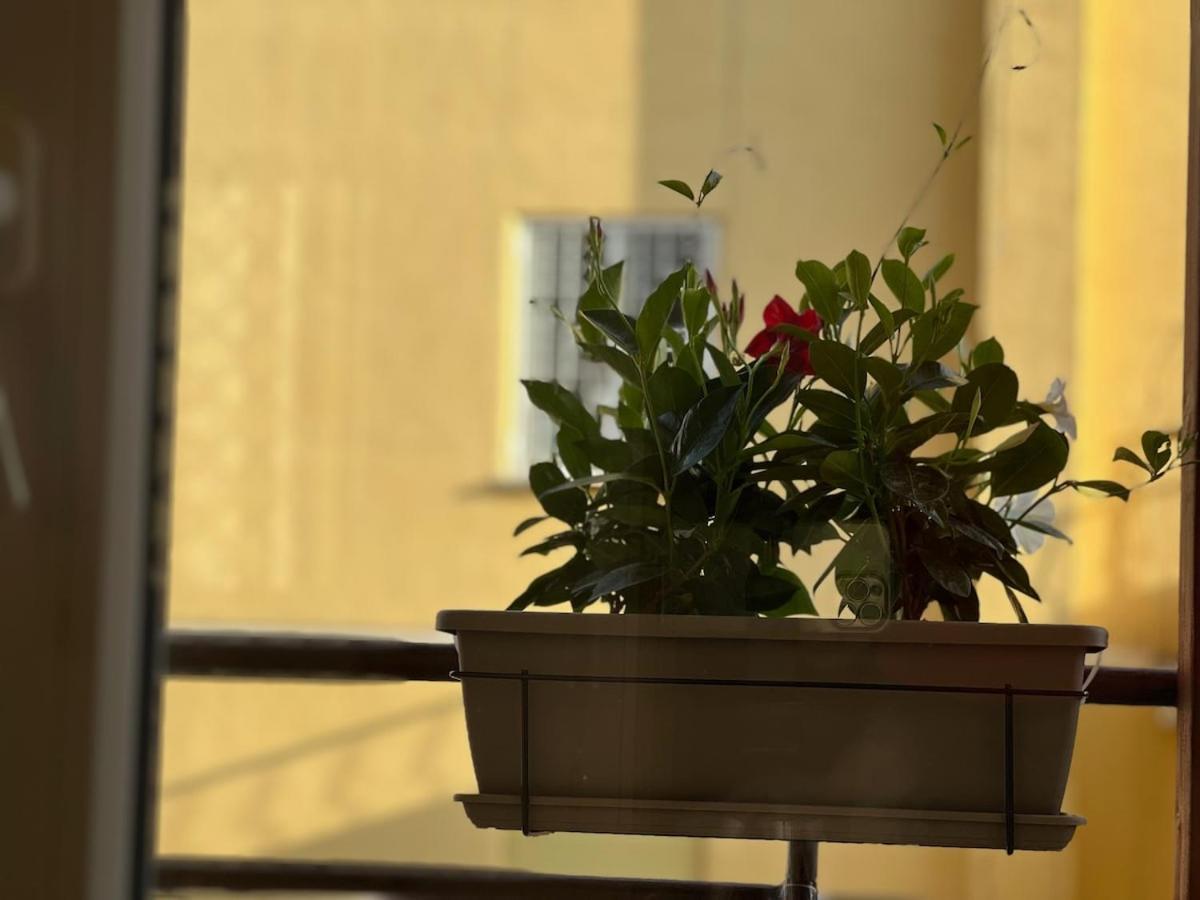 Artpa Gianicolo, Apartment Rome