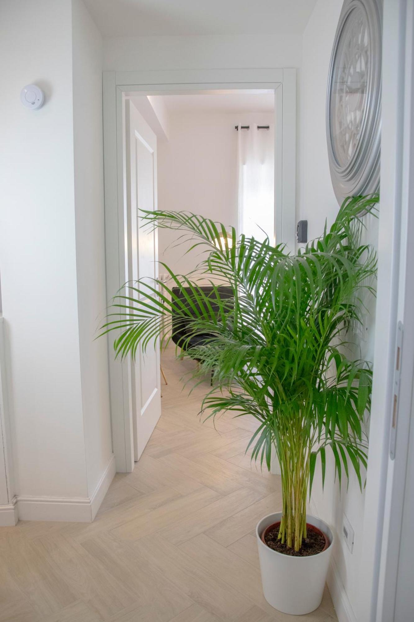 San Pietro Luxury Relais Bed & Breakfast