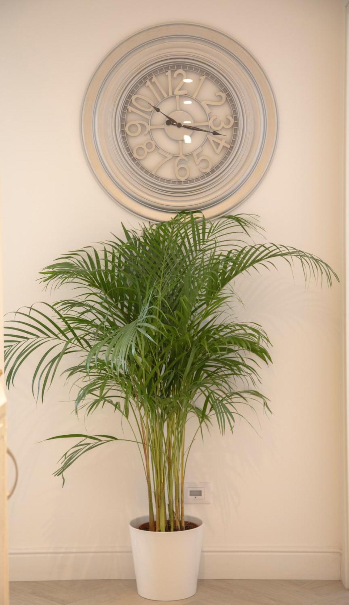 San Pietro Luxury Relais Bed & Breakfast Rome