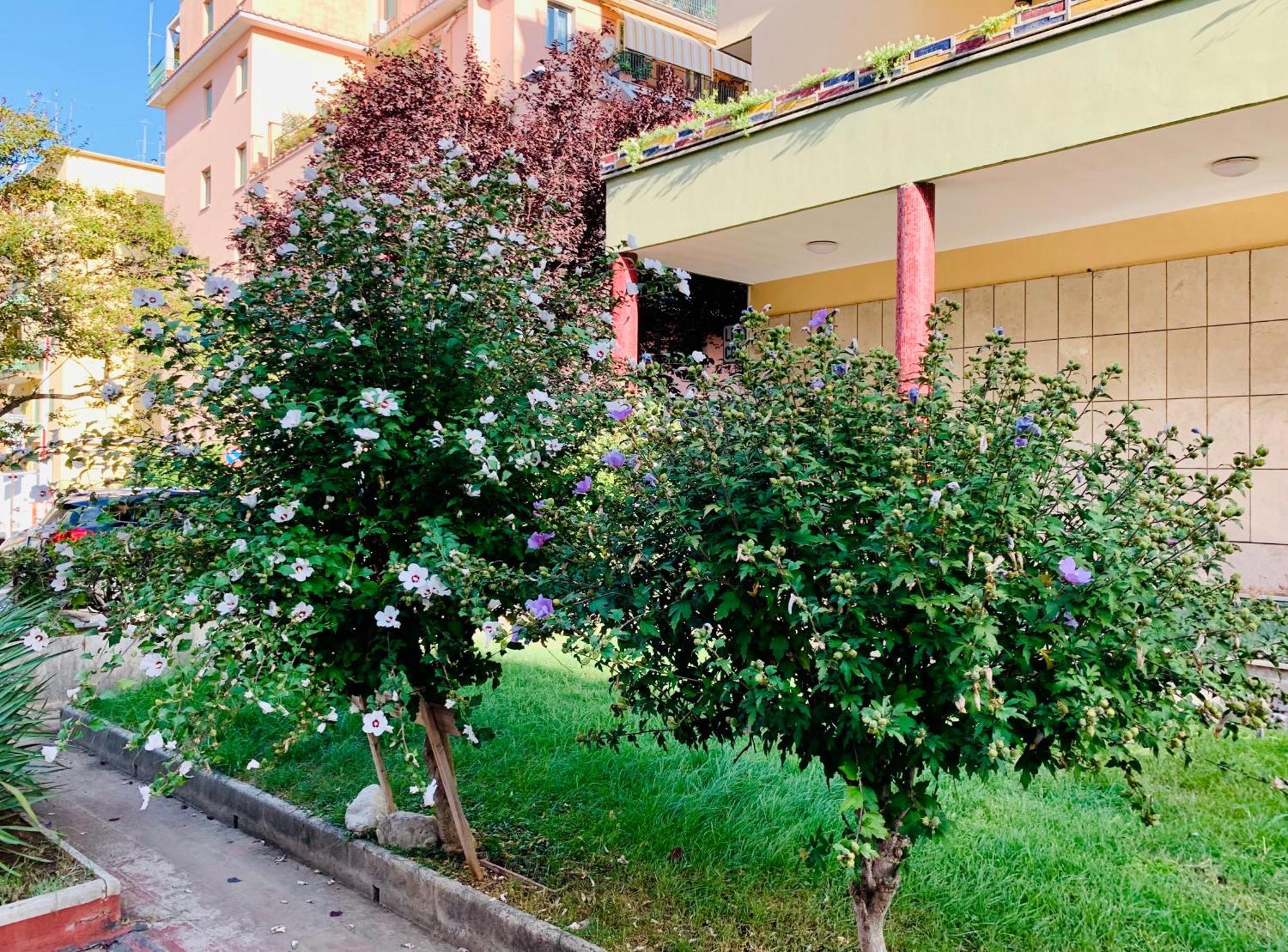 Trastverhome - House Of Cinema Apartamento *