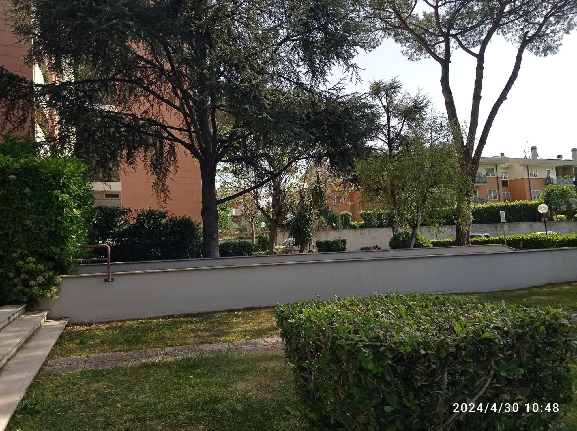Apartment Per Uso Turistico Falcocchio Massimo