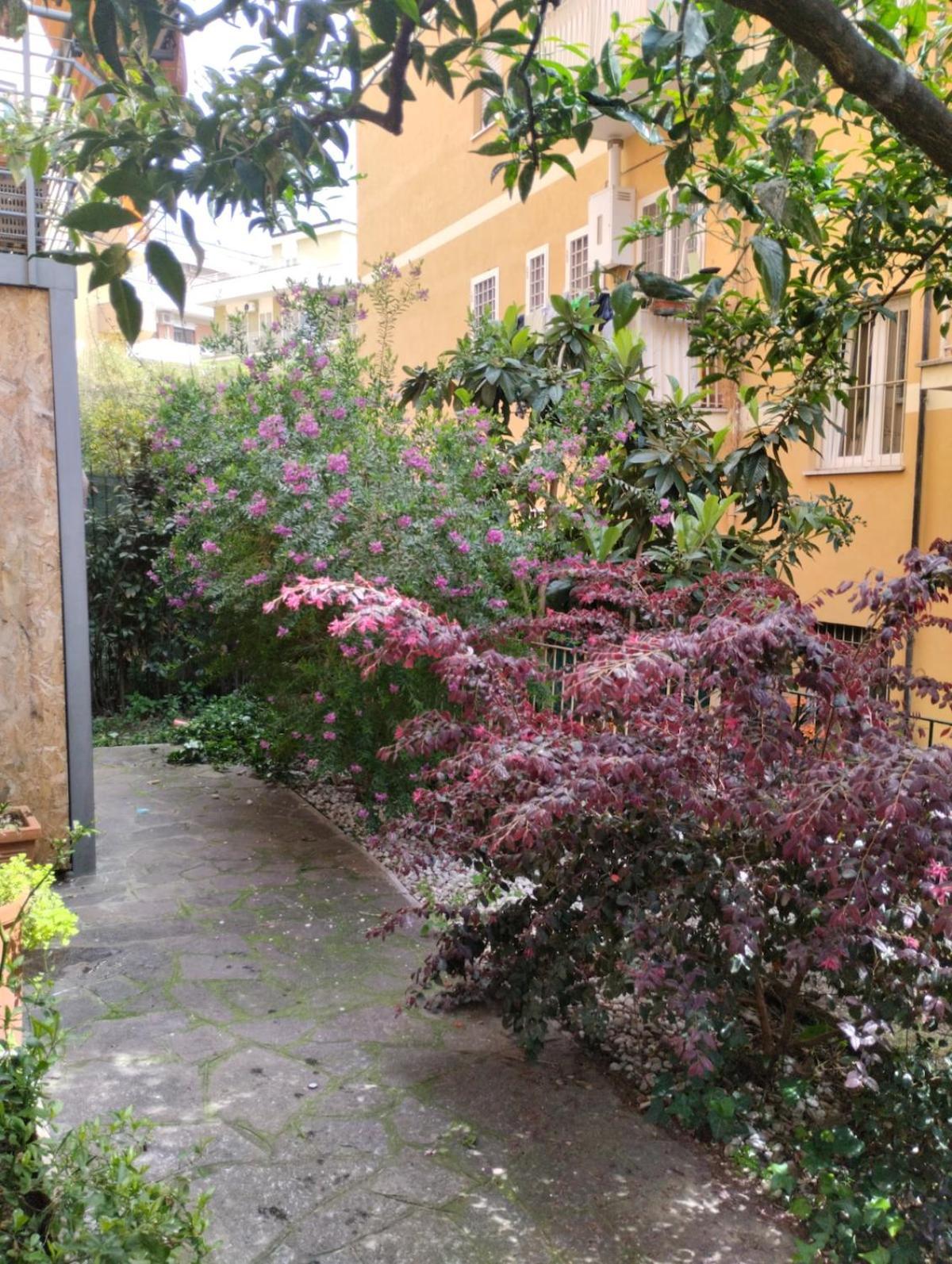 Apartment Tana Etrusca