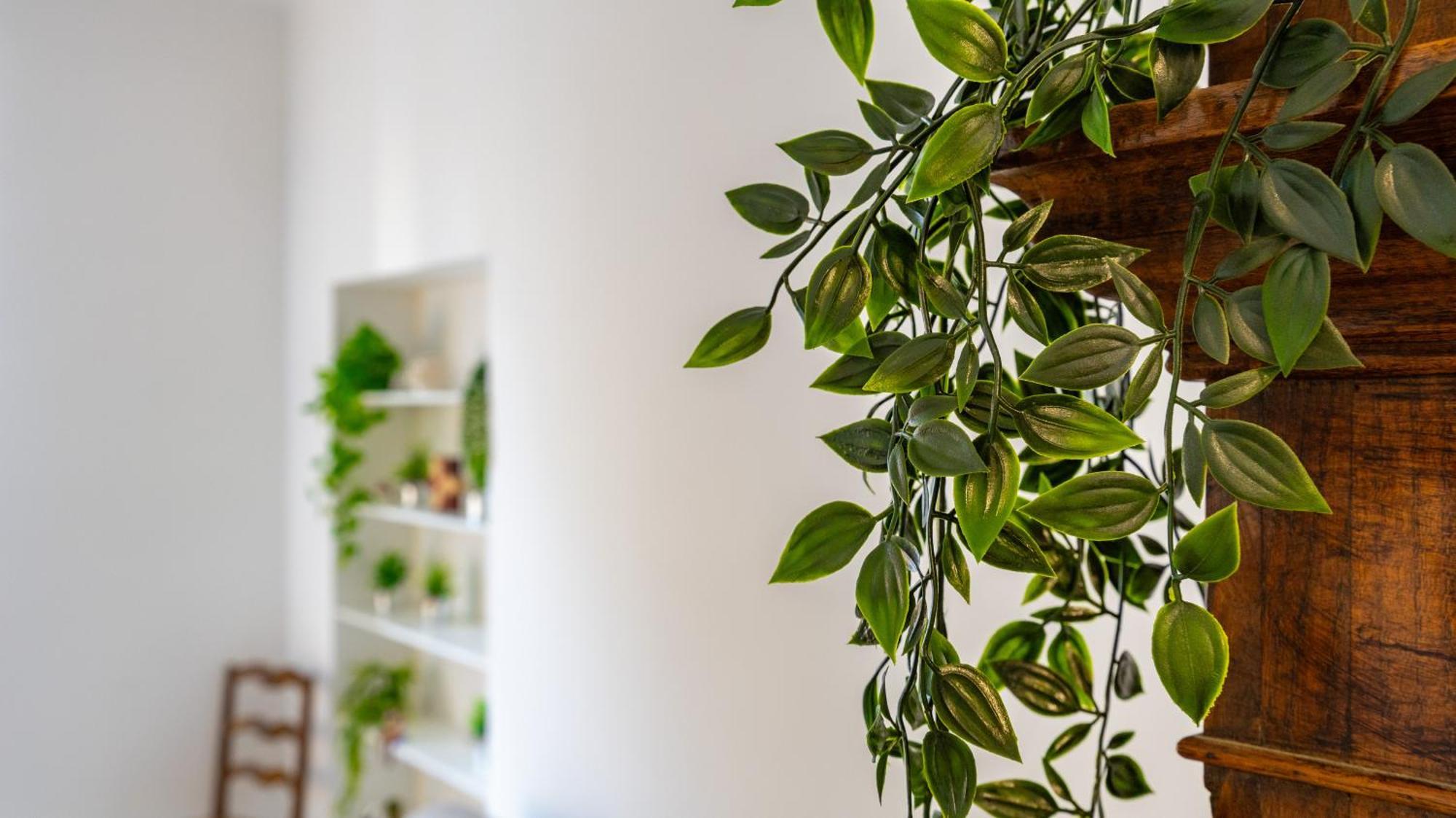 Casa Maria Teresa By Rentbeat Roma