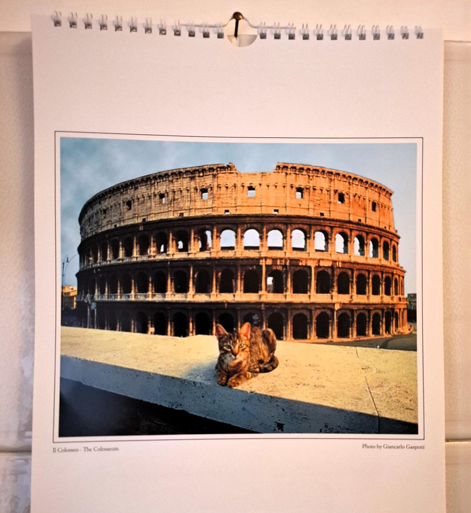 Apartment Locazione Turistica Di Alberto Rome