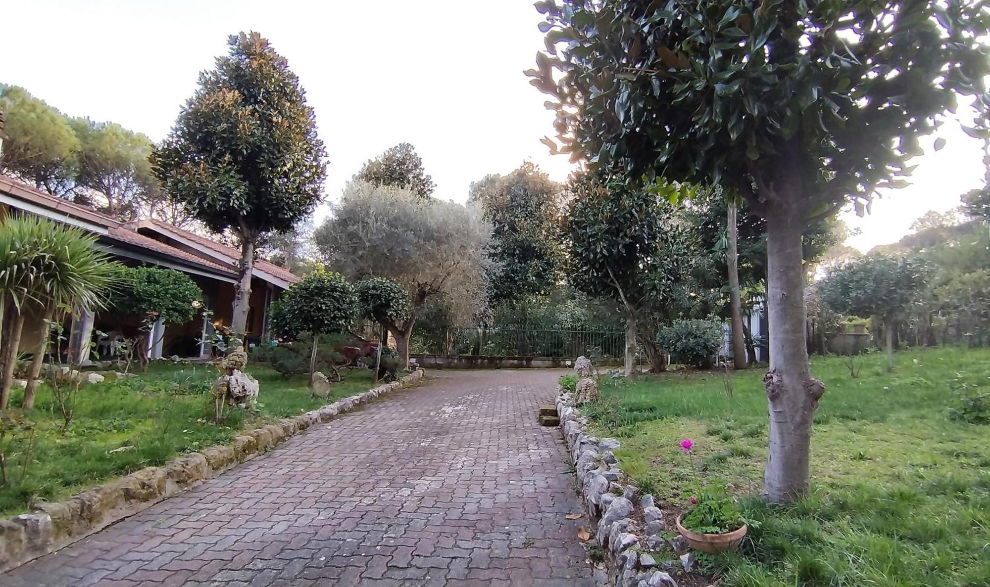 Bed & Breakfast Vivas Rubra Rome