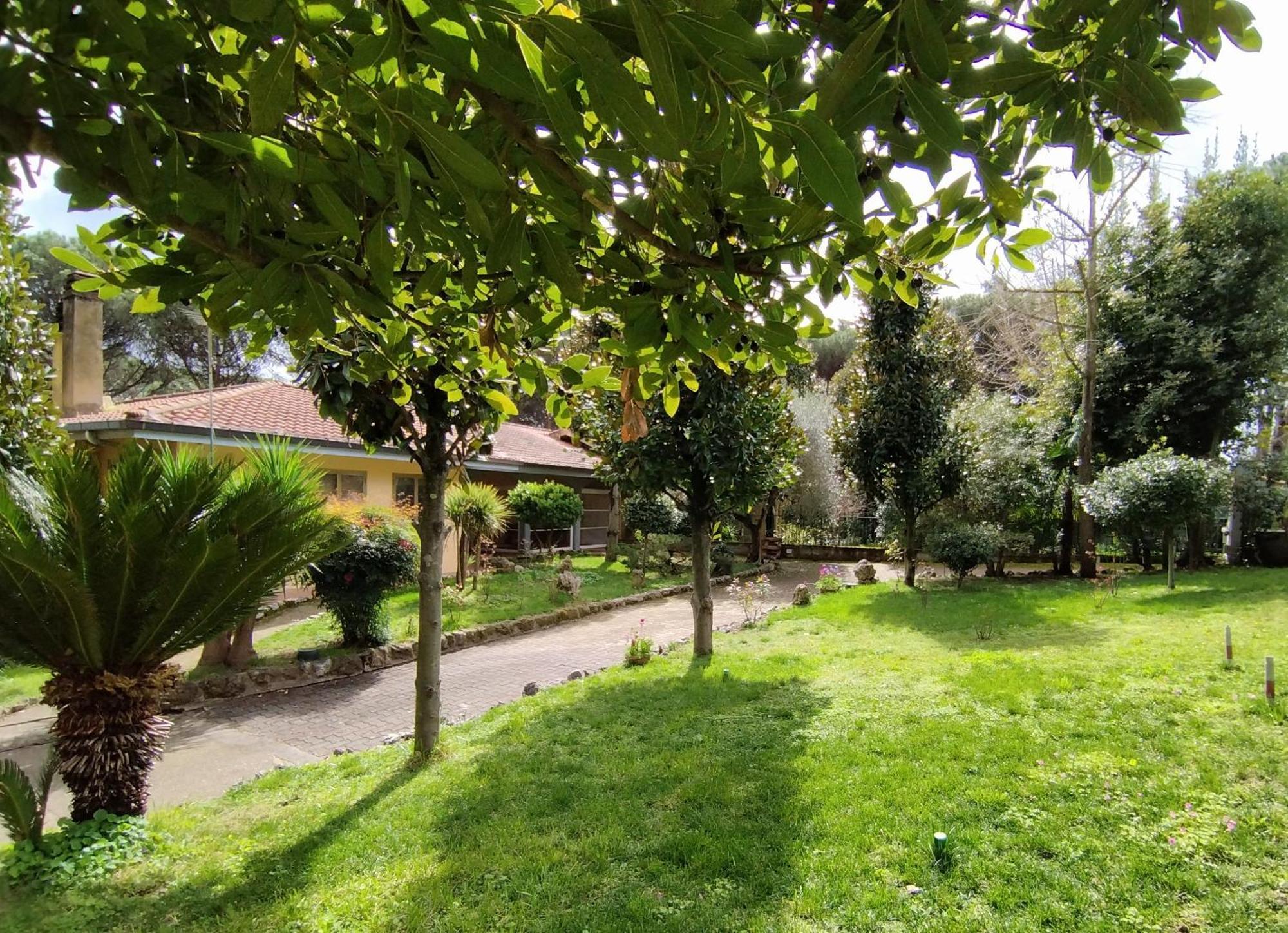 Vivas Rubra Bed & Breakfast Rome