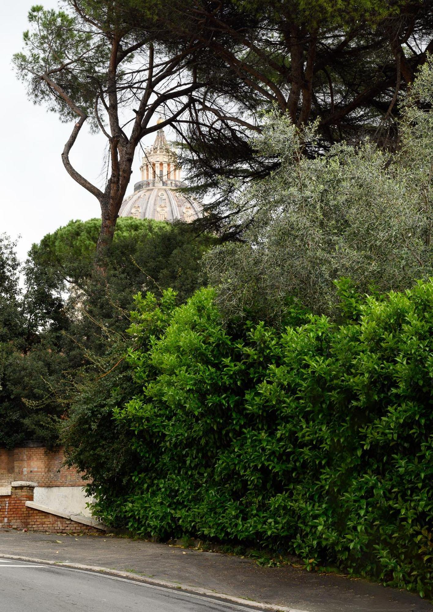 Appartamento Magnoliahome Cupola Di San Pietro *